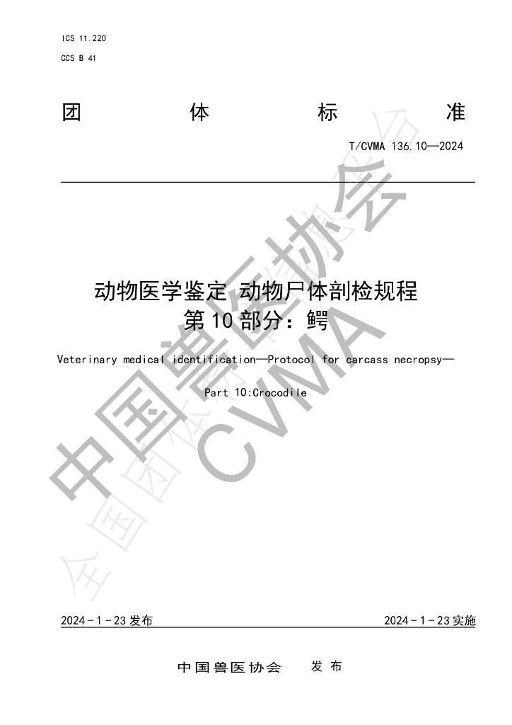 T/CVMA 136.10-2024 标准预览