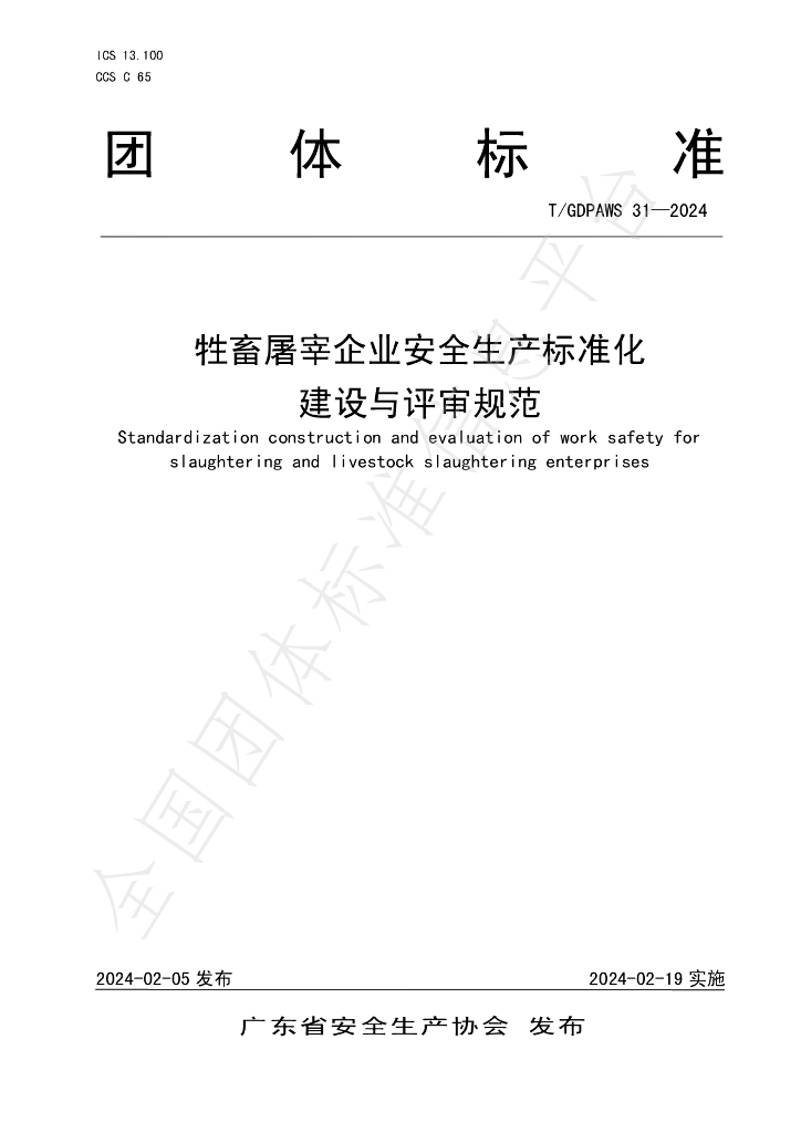 T/GDPAWS 31-2024 标准预览