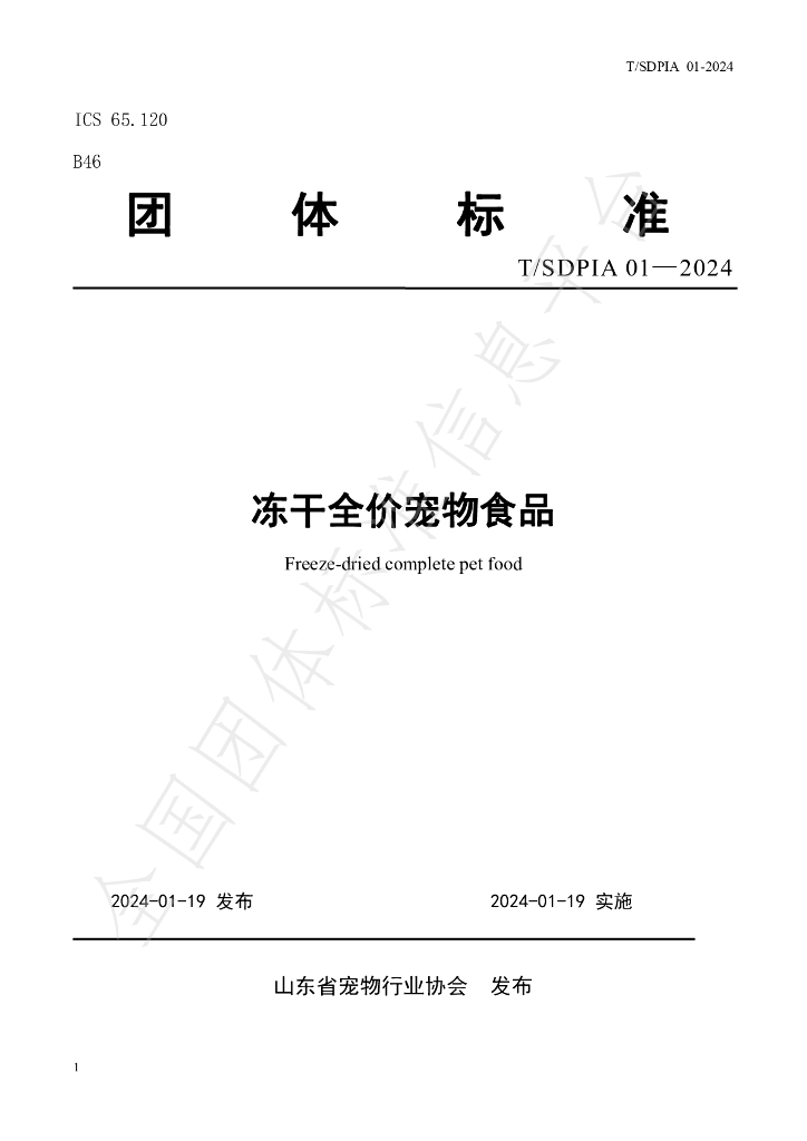T/SDPIA 01-2024 标准预览