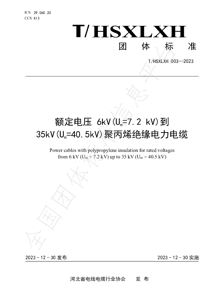 T/HSXLXH 003-2023 标准预览