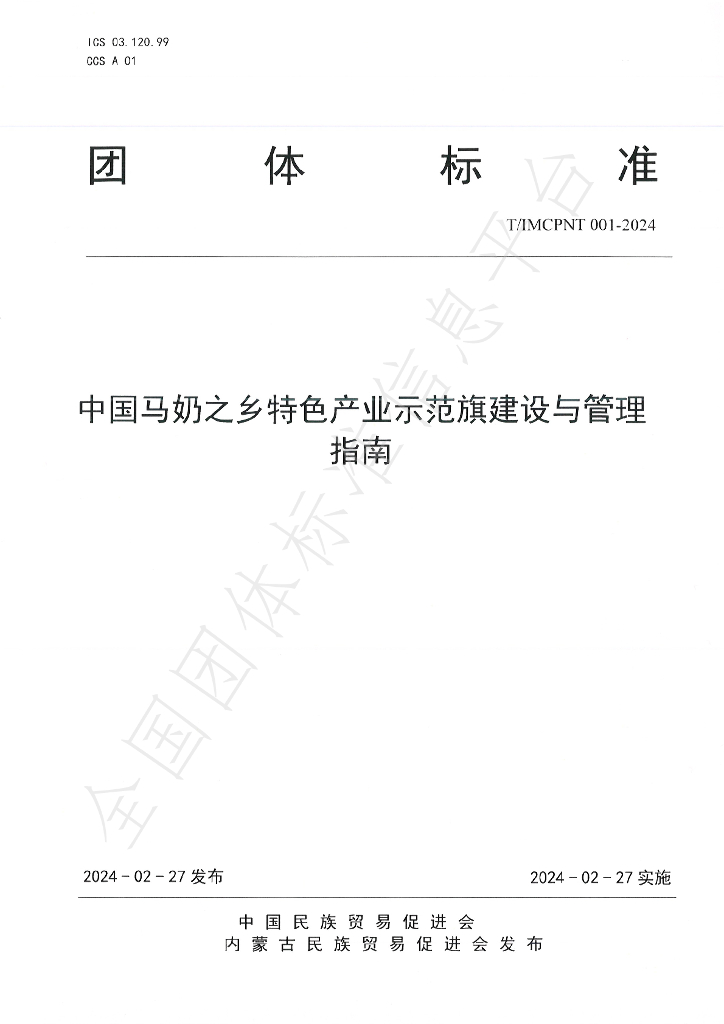 T/IMCPNT 001-2024 标准预览