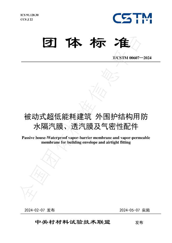 T/CSTM 00607-2024 标准预览