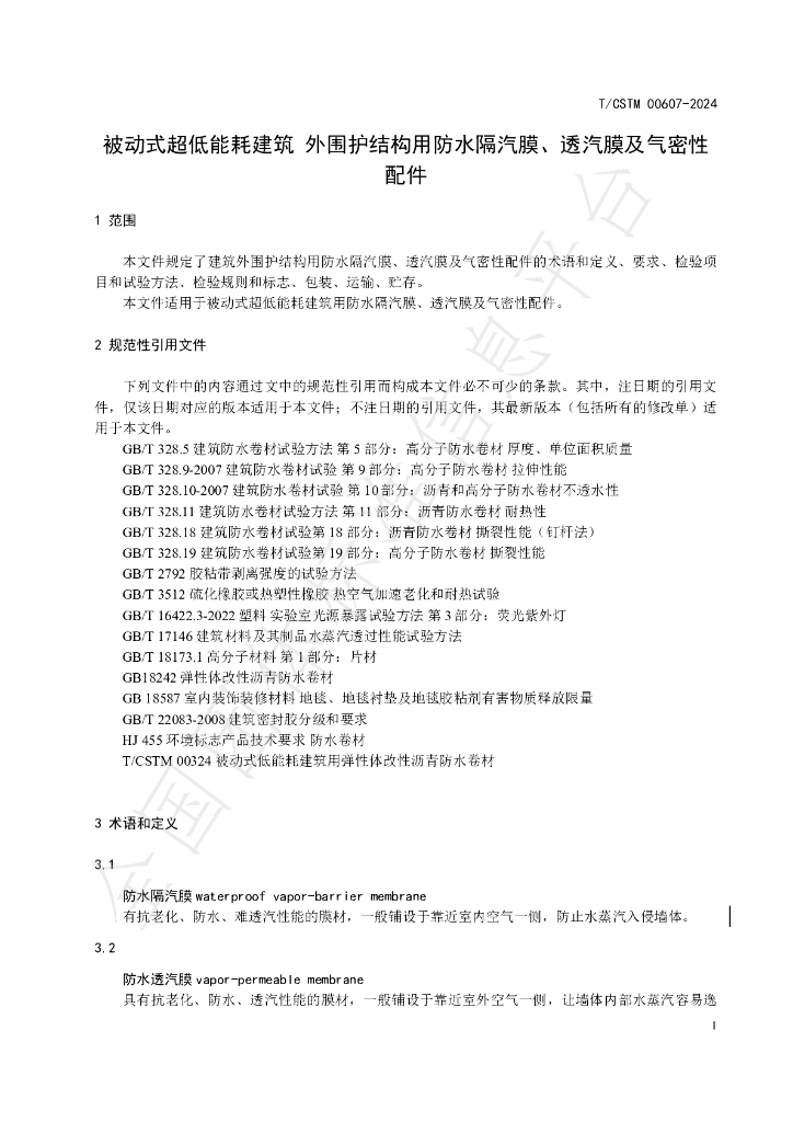 T/CSTM 00607-2024 标准预览