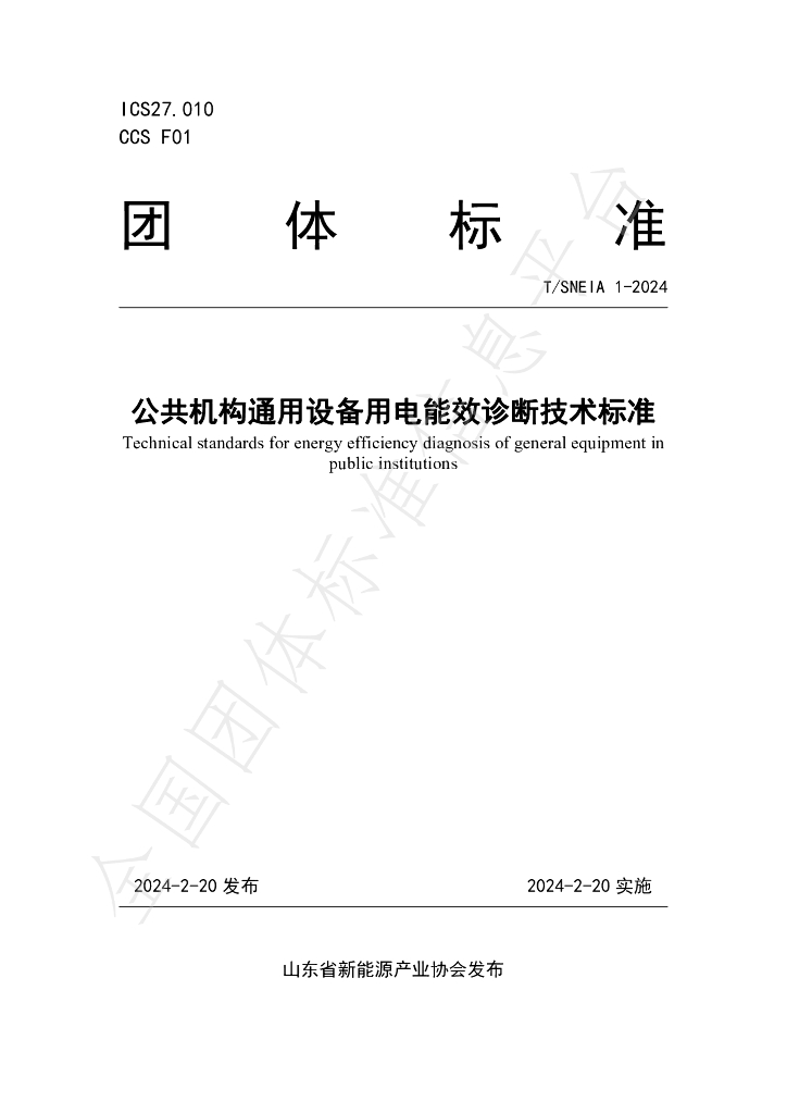 T/SNEIA 1-2024 标准预览