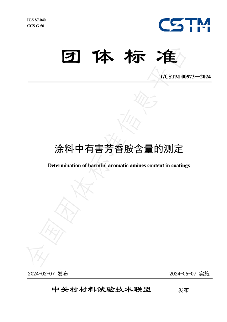 T/CSTM 00973-2024 标准预览