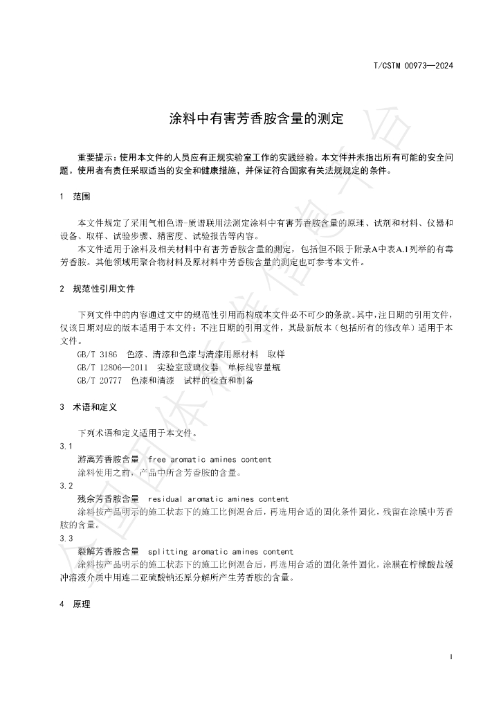 T/CSTM 00973-2024 标准预览