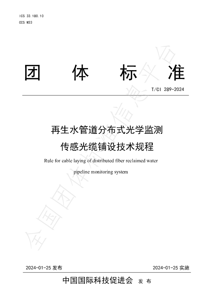 T/CI 289-2024 标准预览