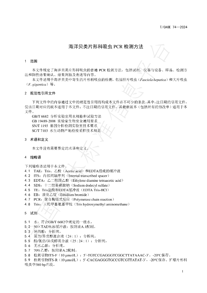 T/CAOE T/CAOE74-2024 标准预览