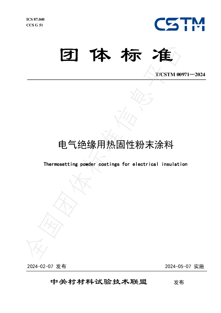 T/CSTM 00971-2024 标准预览