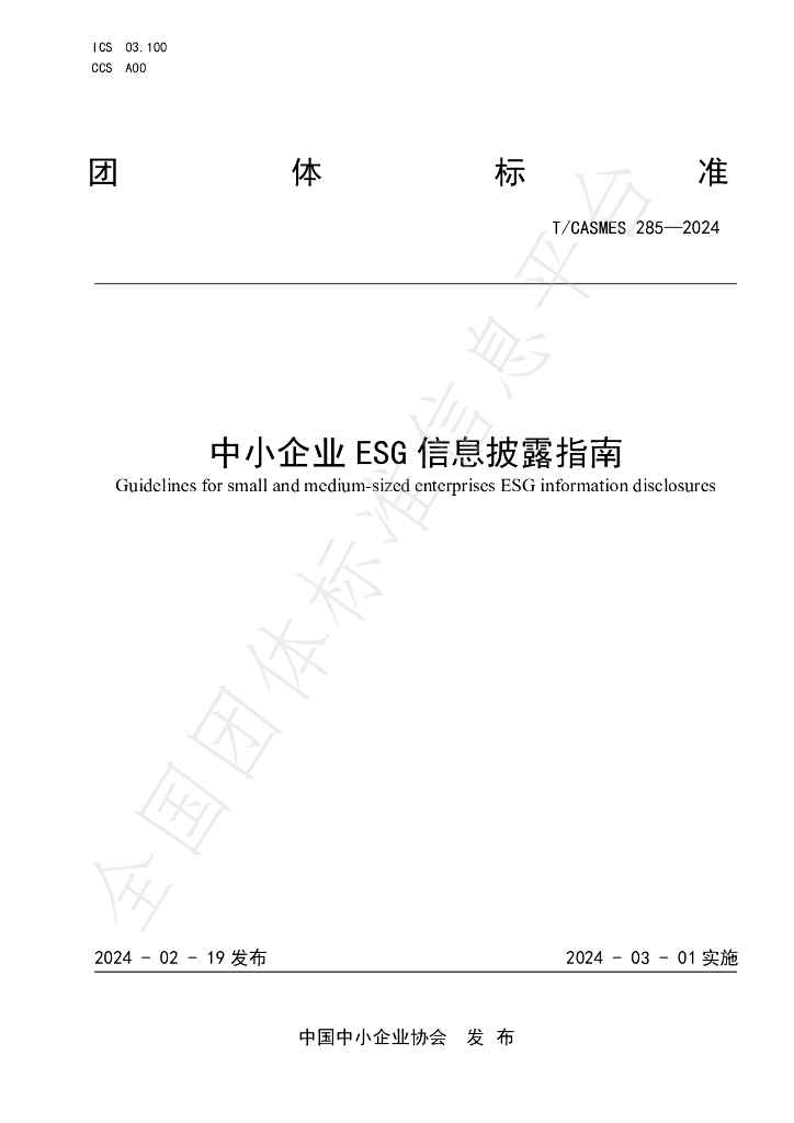T/CASMES 285-2024 标准预览