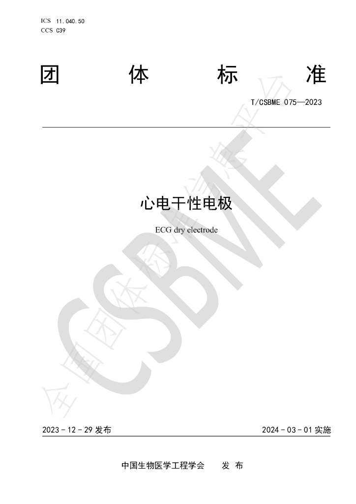 T/CSBME 075-2023 标准预览