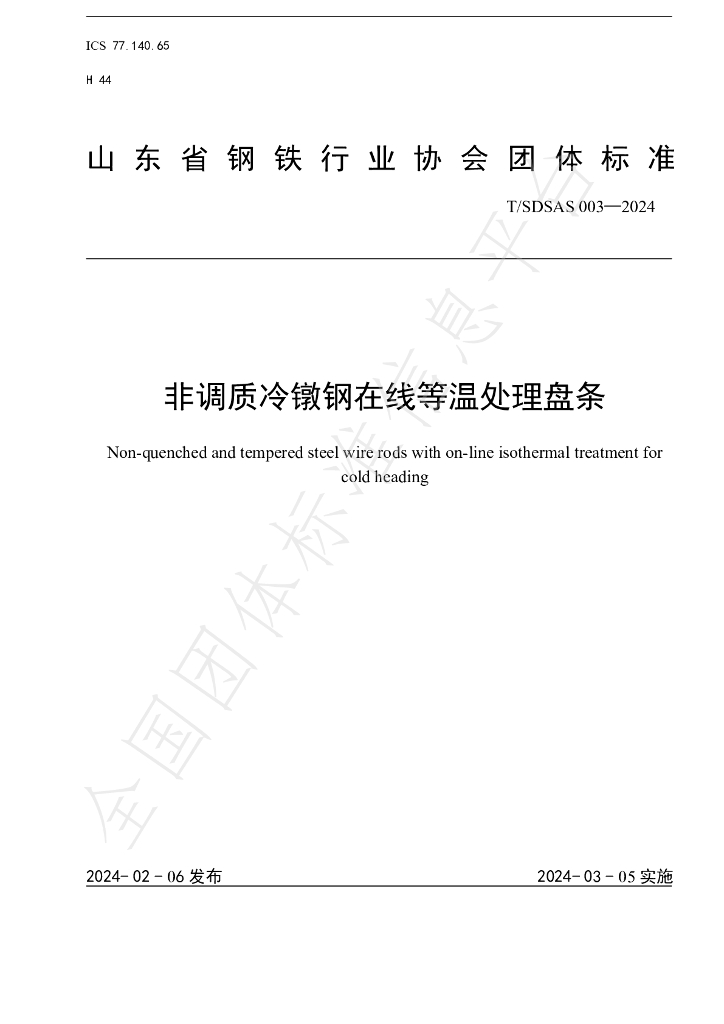 T/SDSAS 003-2024 标准预览