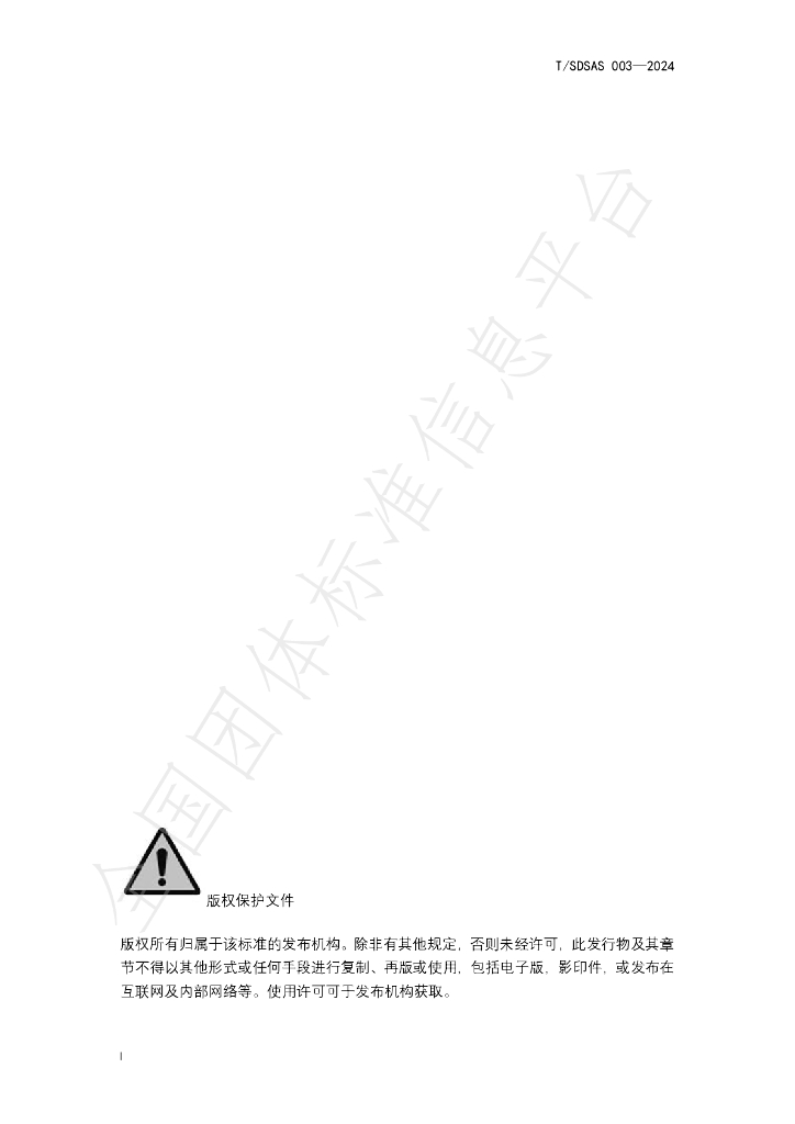 T/SDSAS 003-2024 标准预览