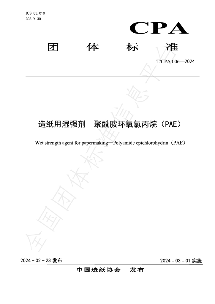 T/CPA 006-2024 标准预览