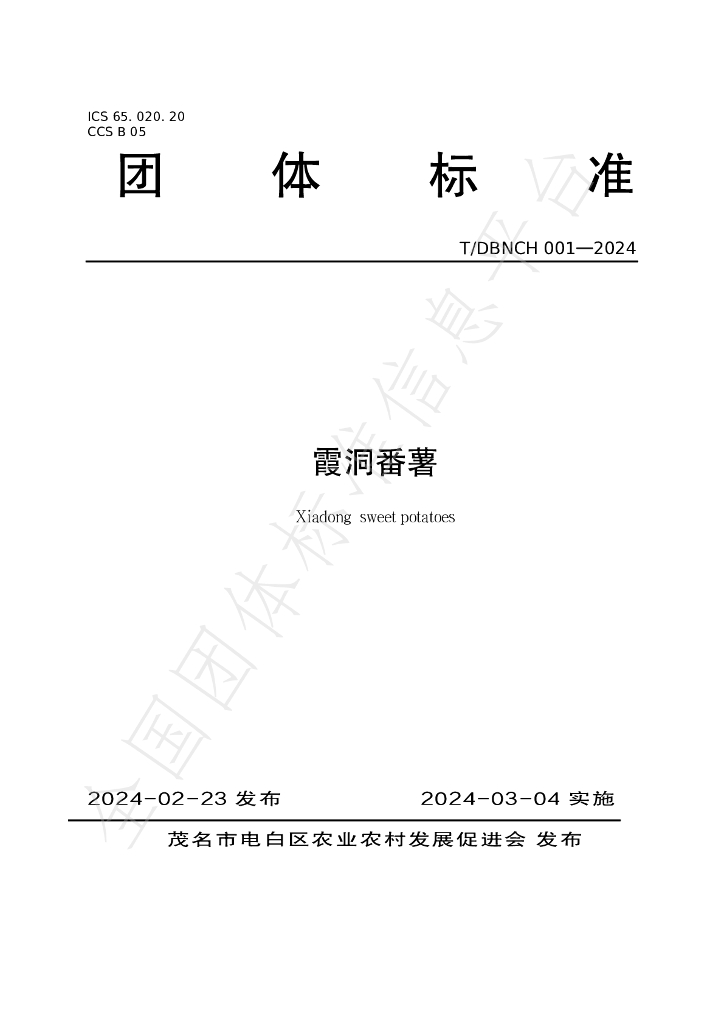 T/DBNCH 001-2024 标准预览