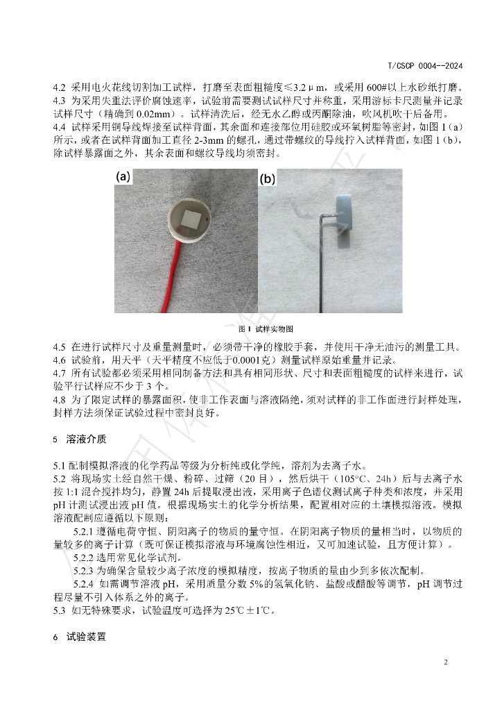 T/CSCP 0004-2024 标准预览