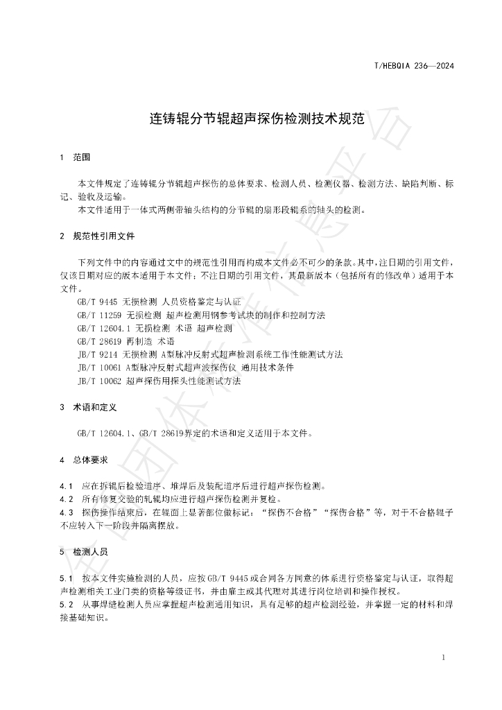 T/HEBQIA 236-2024 标准预览