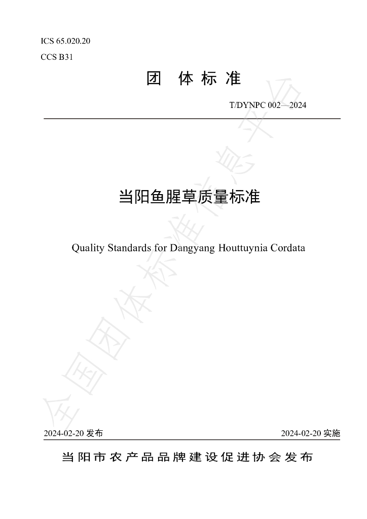 T/DYNPC 002-2024 标准预览