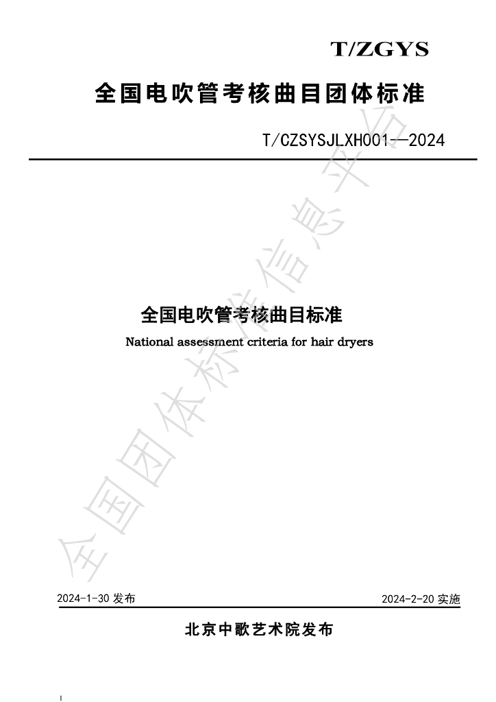 T/CZSYSJLXH 001-2024 标准预览