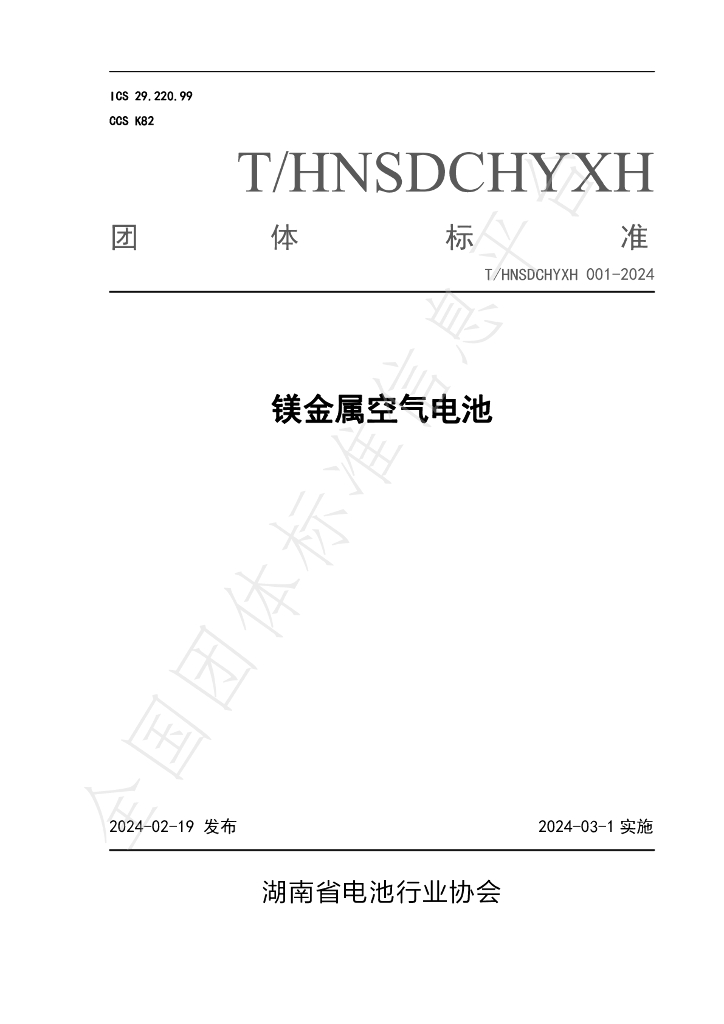 T/HNSDCHYXH 001-2024 标准预览