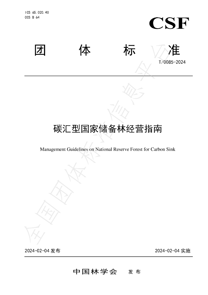 T/CSF 0085-2024 标准预览