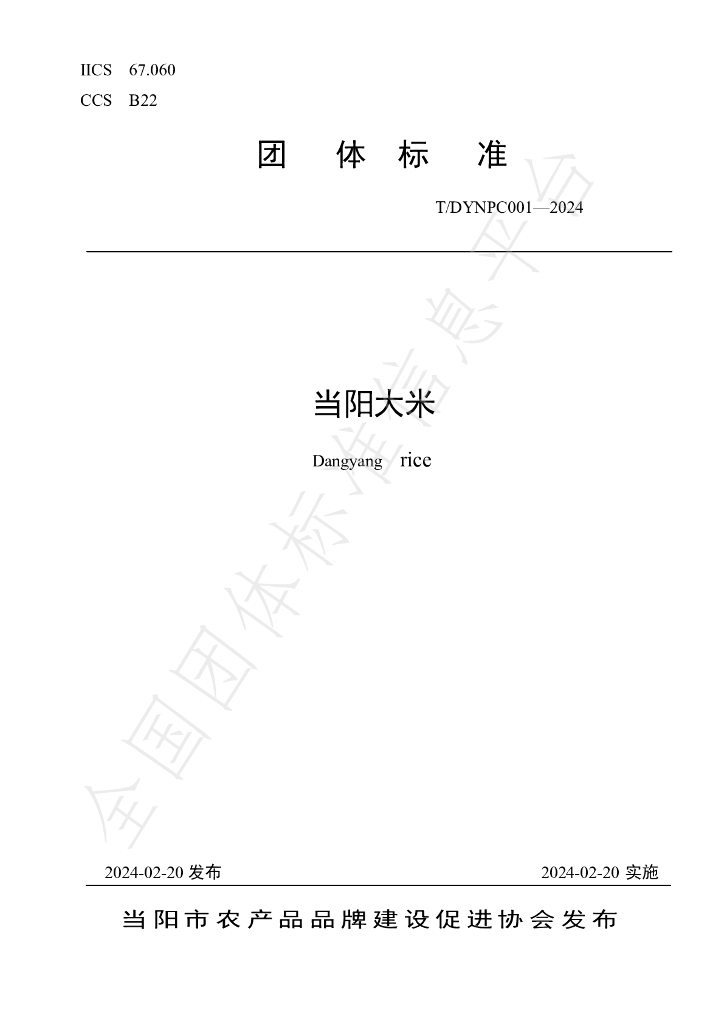 T/DYNPC 001-2024 标准预览