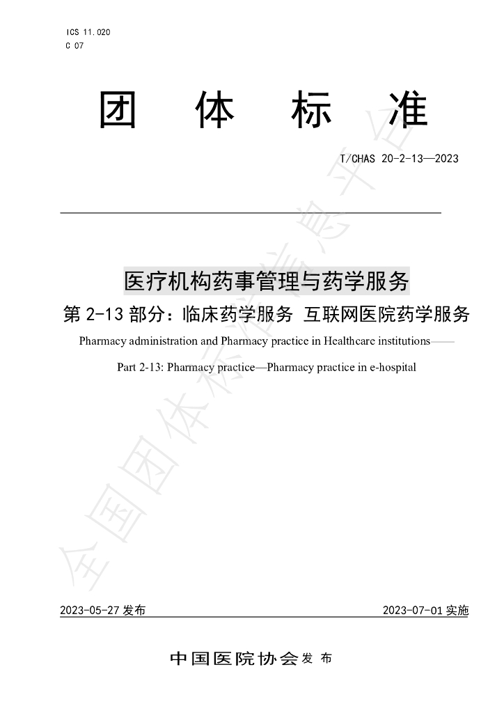 T/CHAS 20-2-13-2023 标准预览