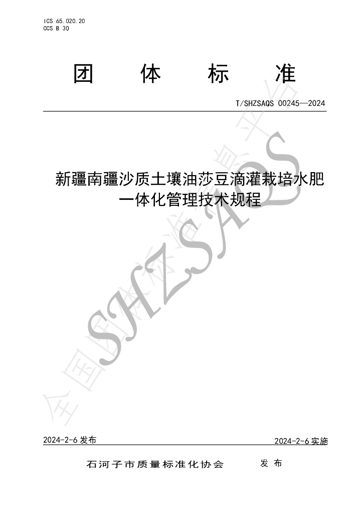 T/SHZSAQS 00245-2024 标准预览