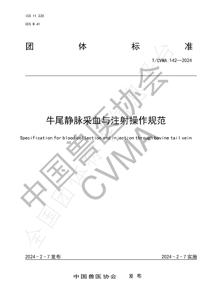 T/CVMA 142-2024 标准预览
