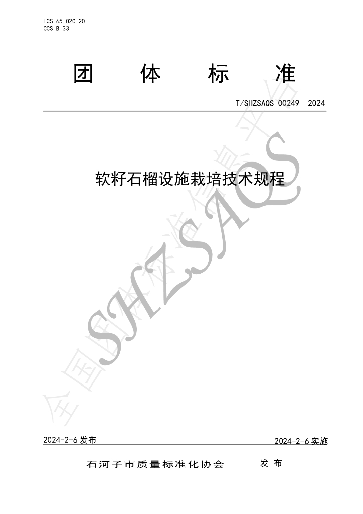 T/SHZSAQS 00249-2024 标准预览