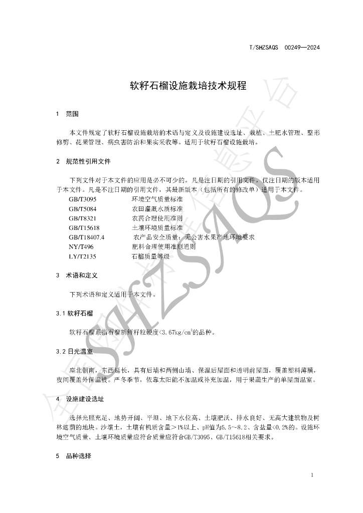 T/SHZSAQS 00249-2024 标准预览