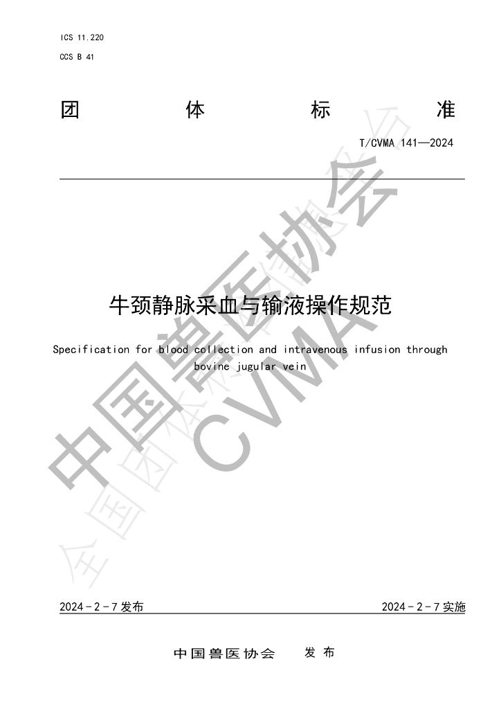 T/CVMA 141-2024 标准预览