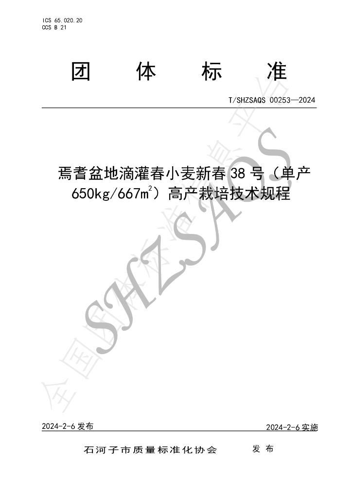 T/SHZSAQS 00253-2024 标准预览