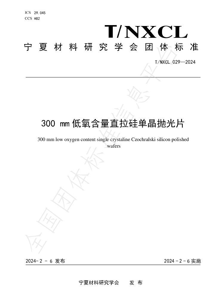 T/NXCL 29-2024 标准预览