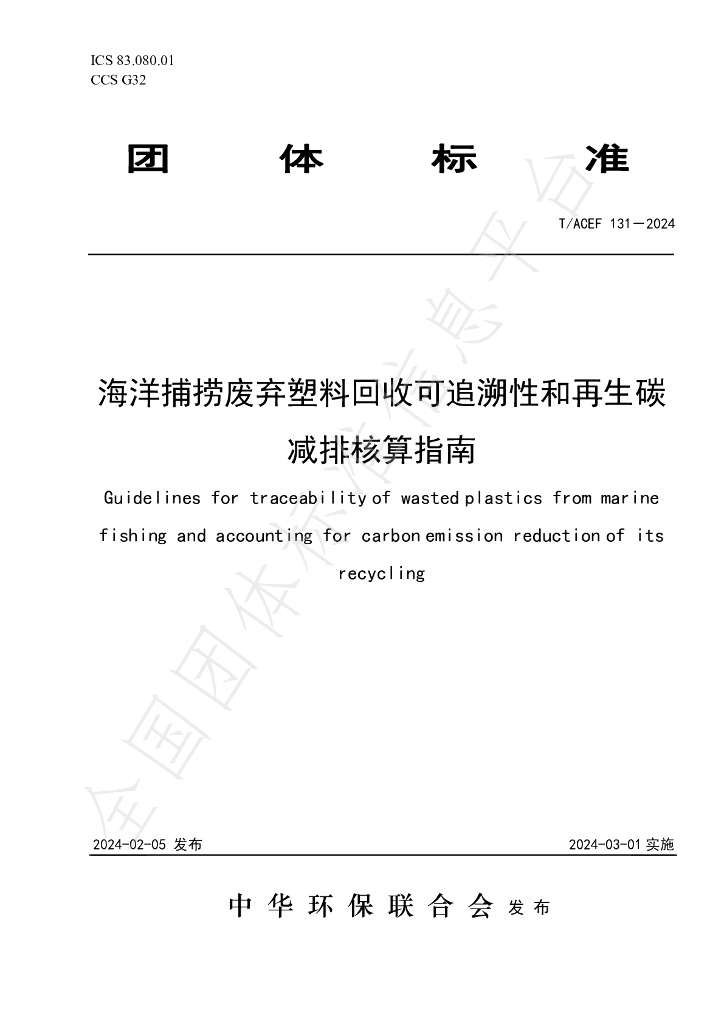 T/ACEF 131-2024 标准预览