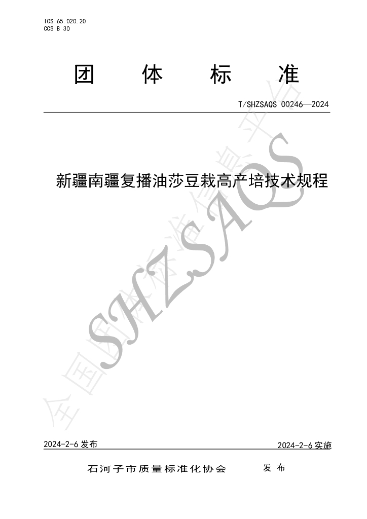 T/SHZSAQS 00246-2024 标准预览