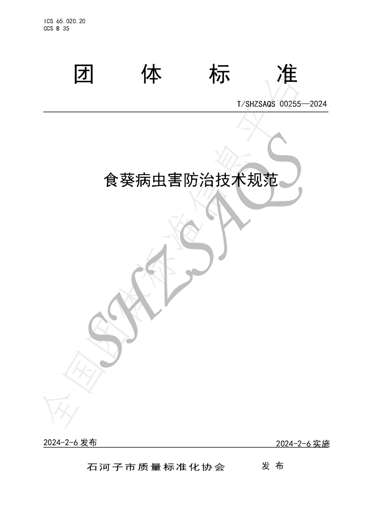 T/SHZSAQS 00255-2024 标准预览
