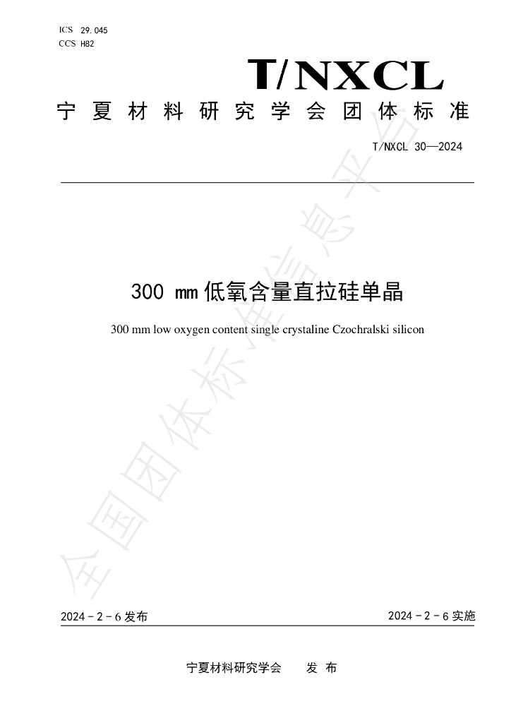 T/NXCL 30-2024 标准预览