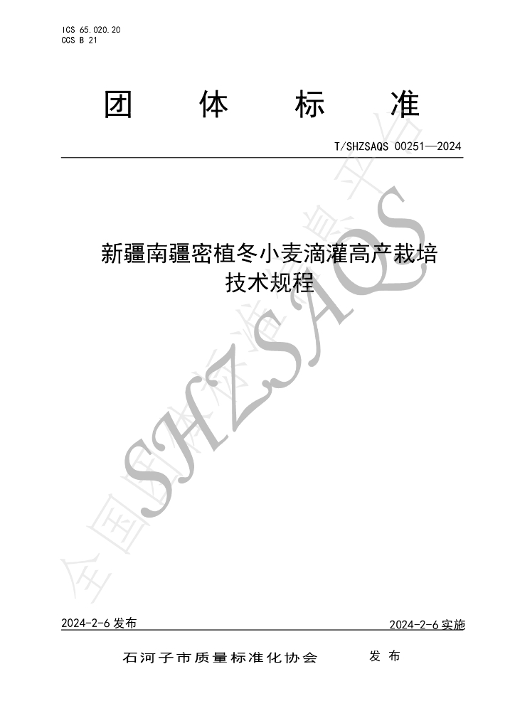 T/SHZSAQS 00251-2024 标准预览