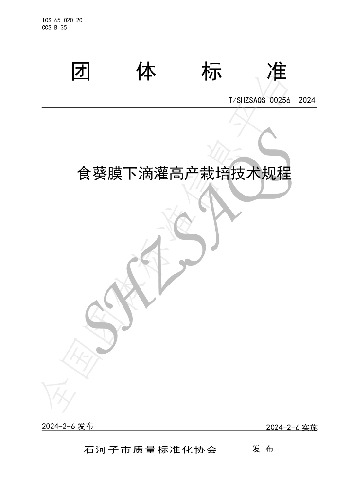 T/SHZSAQS 00256-2024 标准预览