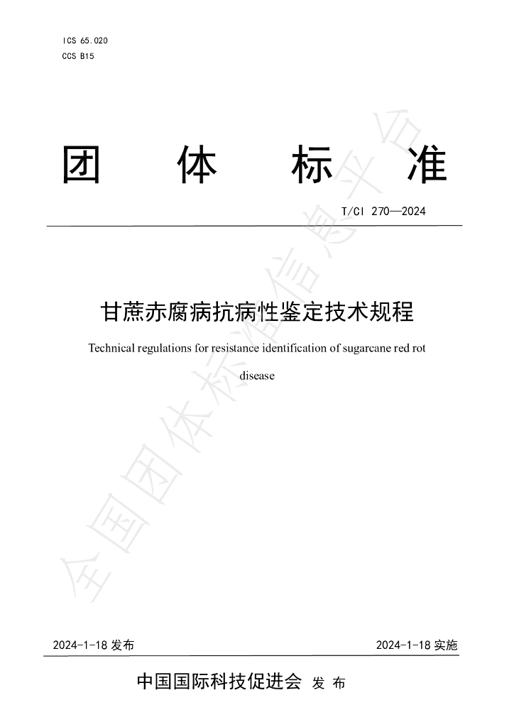 T/CI 270-2024 标准预览