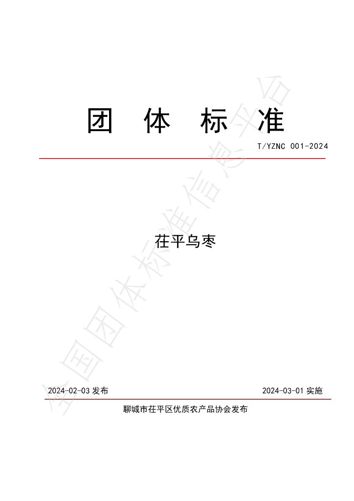 T/CYNX 001-2024 标准预览