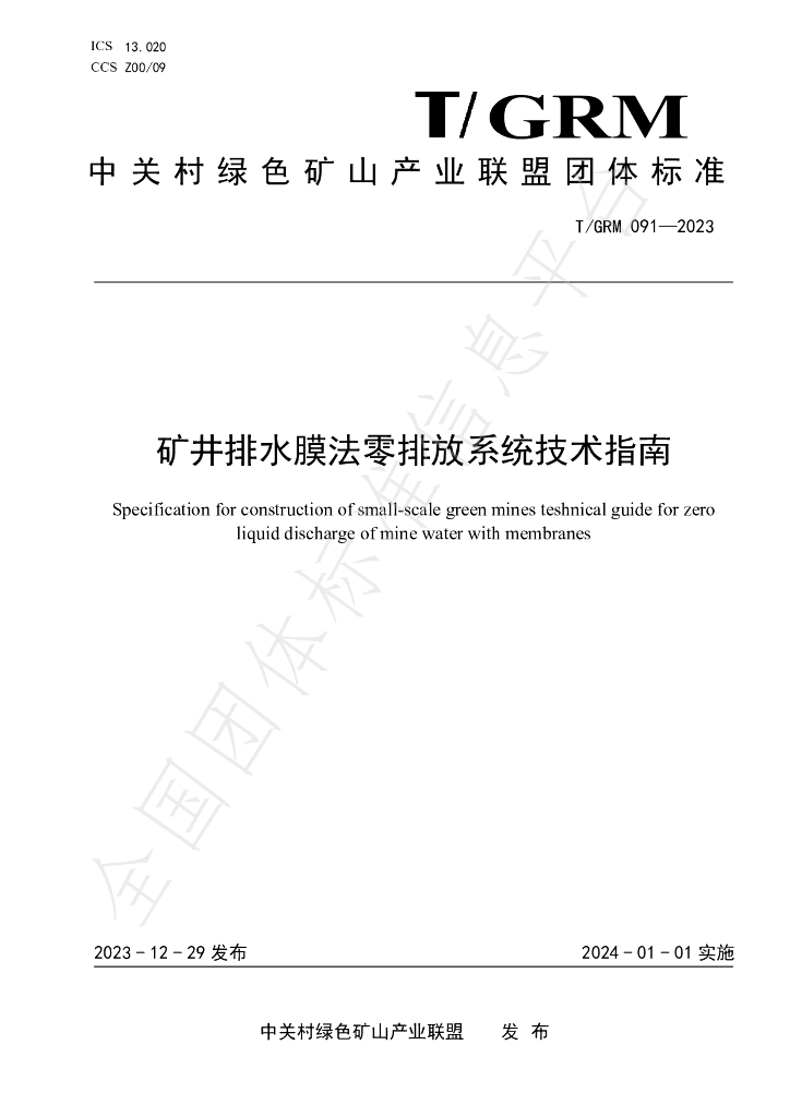 T/GRM 091-2023 标准预览
