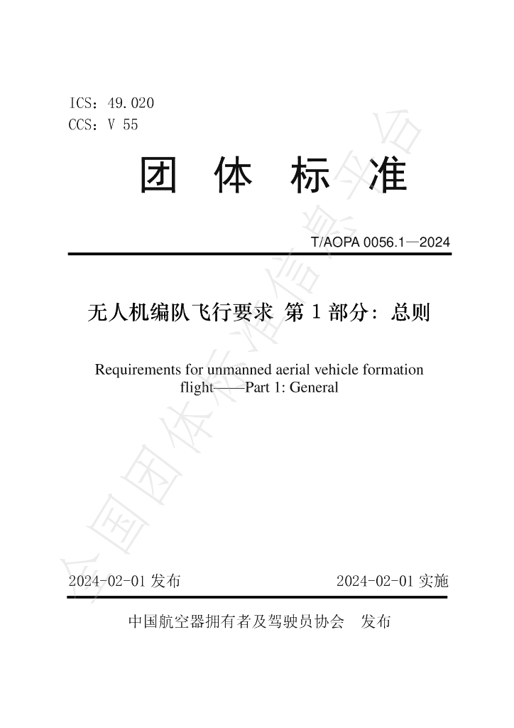 T/AOPA 0056.1-2024 标准预览