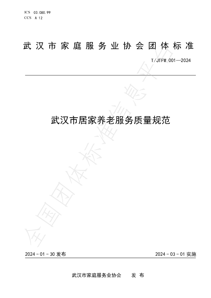 T/JTFW 001-2024 标准预览