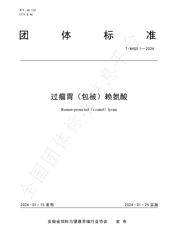 T/AHSX 1-2024 标准预览