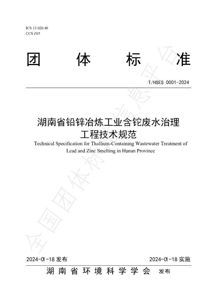 T/HSES 0001-2024 标准预览