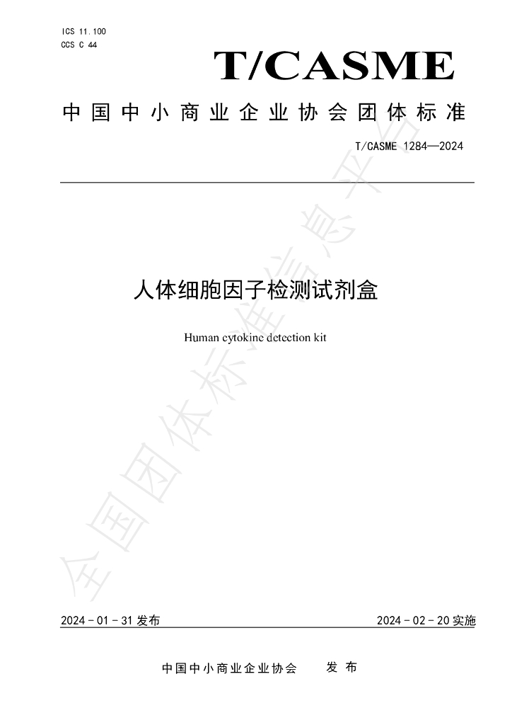 T/CASME 1284-2024 标准预览