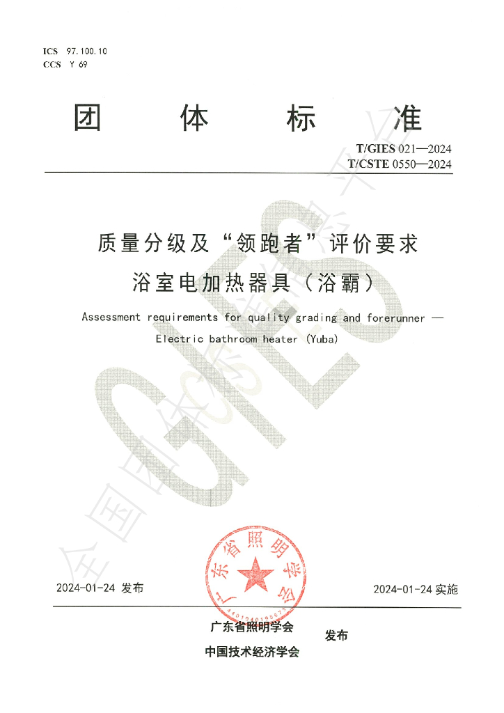 T/GIES 021-2024 标准预览