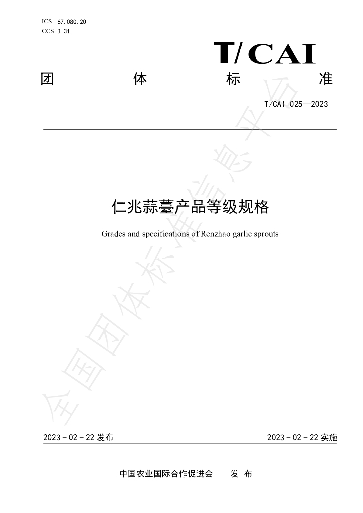 T/CAI 025-2023 标准预览